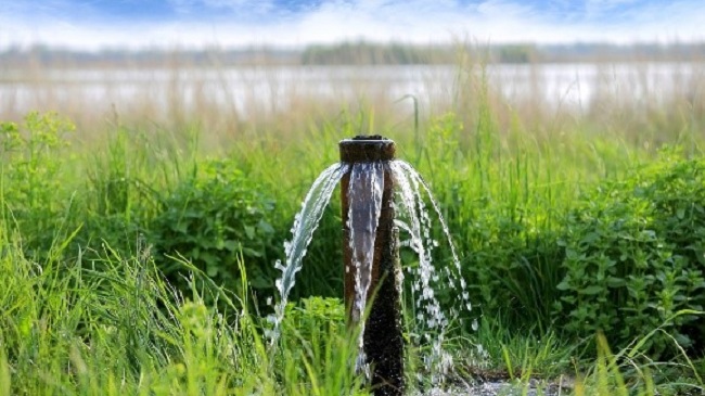 A képen egy locsoló látható, körülötte zöld fűvel.