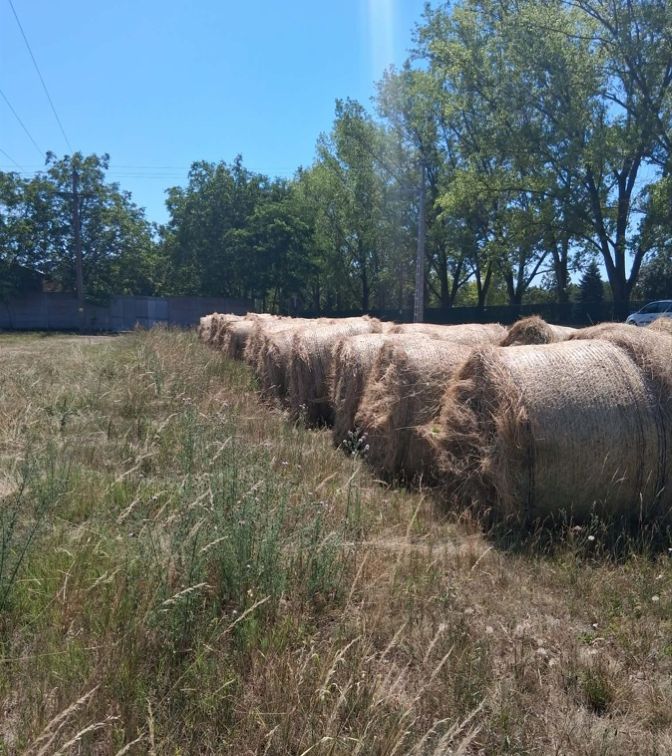 Szénabálák láthatók a képen.