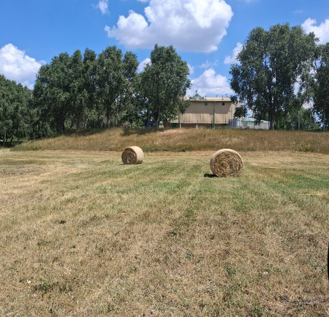 A képen egy lekaszált terület, és azon néhány bebálázott szénabála látható.