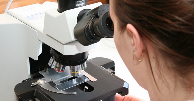 A képen egy mikroszkóppa vizsgálatot végző hölgy látható vízminőséget vizsgáló laboratóriumunkban.