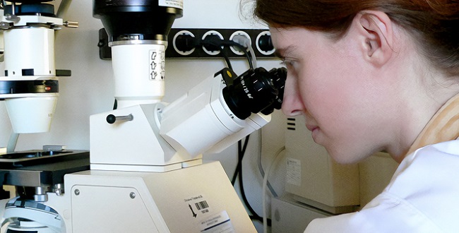 A kép illusztráció, amelyen egy laboratóriumi munkatárs mikroszkóppal mintát vizsgál.