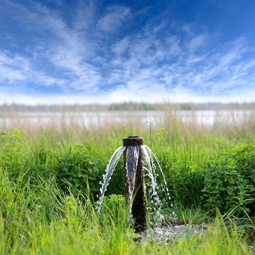 The picture depicts a watering system.
